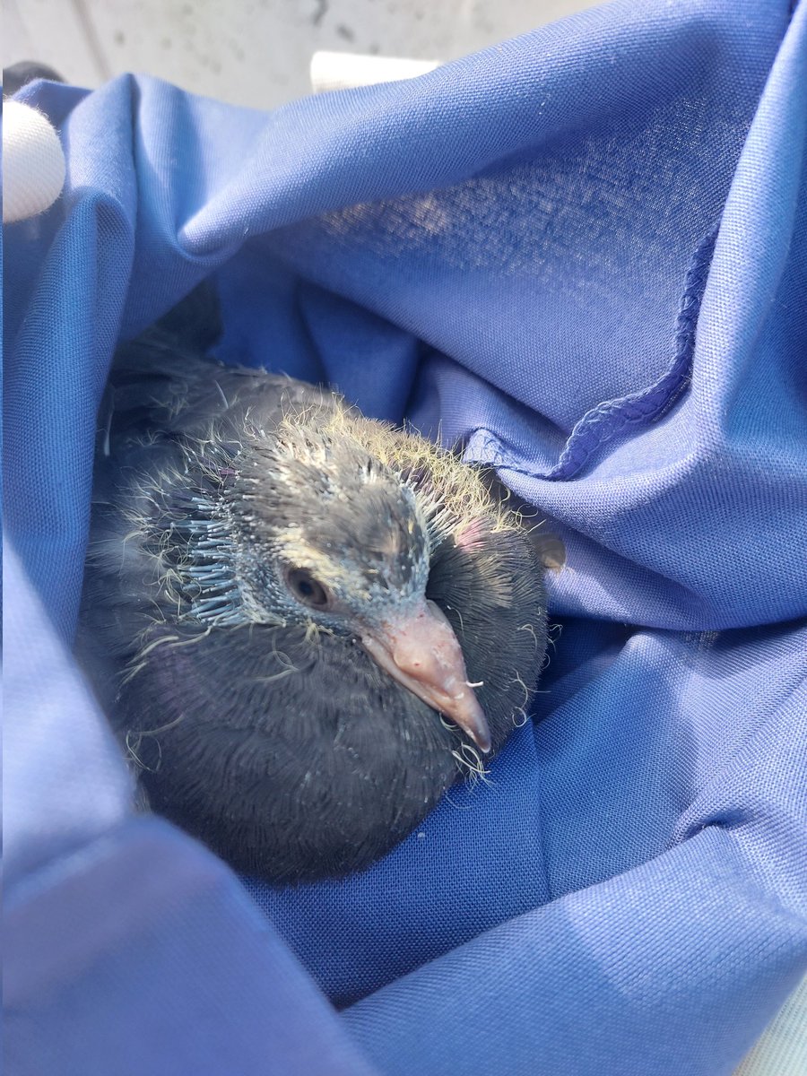 Frosty🎃 tweet media