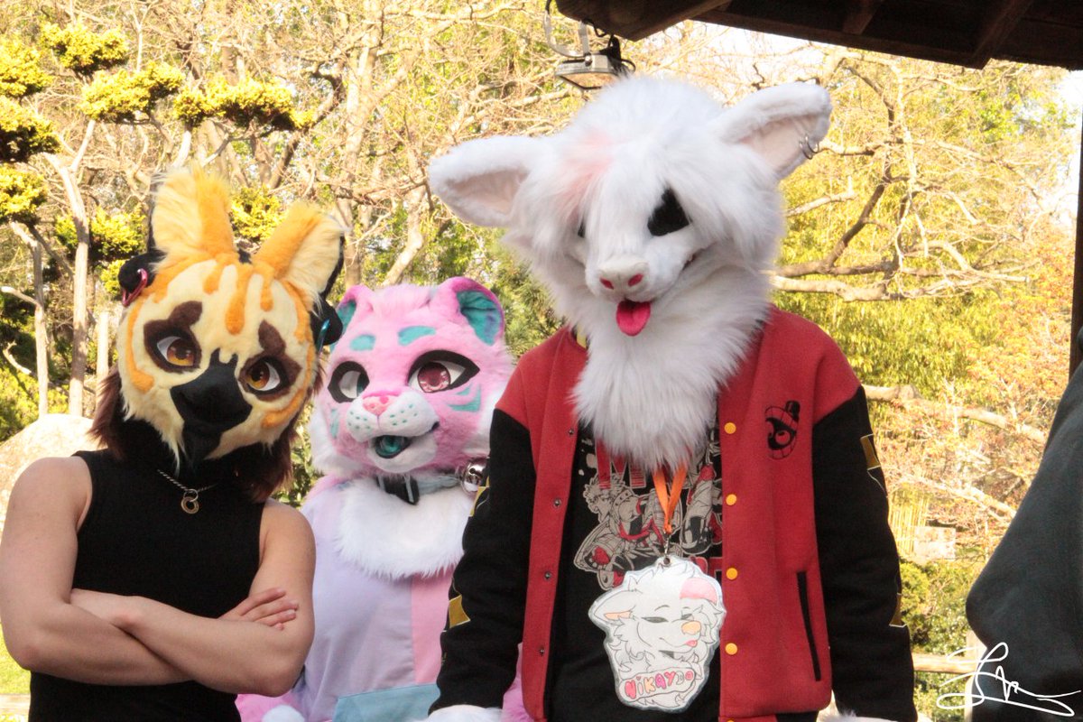TheLordRuthless's tweet photo. Took some pictures last weekend with @AnimaleToast666 and ekiby_0 at the Japanese garden in Toulouse 🌸
#fursuit #fursuiter #fursuiting #fursuitfriday #furry https://t.co/uEggNxeNmL