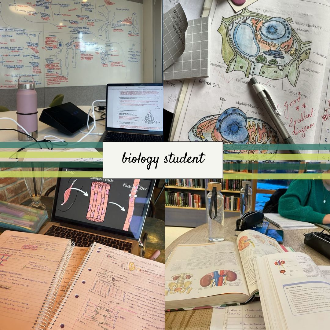 garnetandblack's tweet image. Ever imagined what your majors aesthetic would be? Well, Garnet &amp;amp; Black has you covered! Check out more on our Instagram and let us know which you would like to see next??🎀🌿 
#uofsc #garnetandblack #studentmagazine