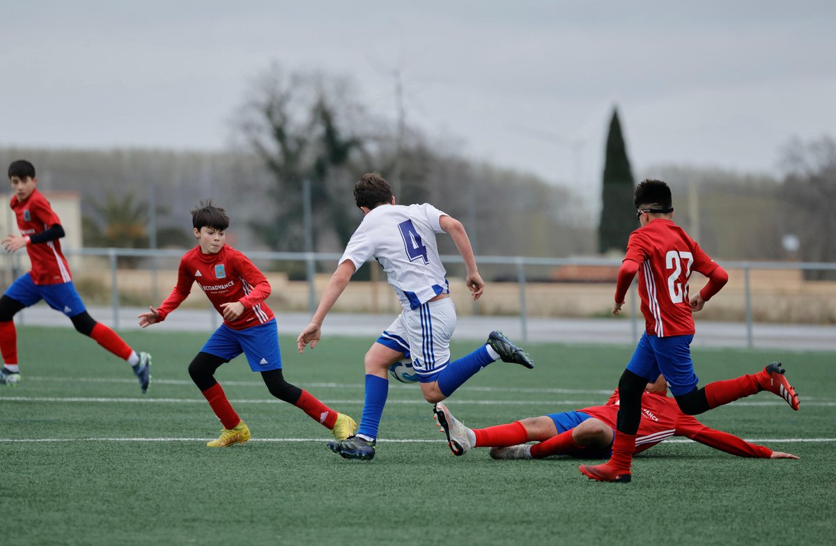 SD. Tarazona Cantera tweet media