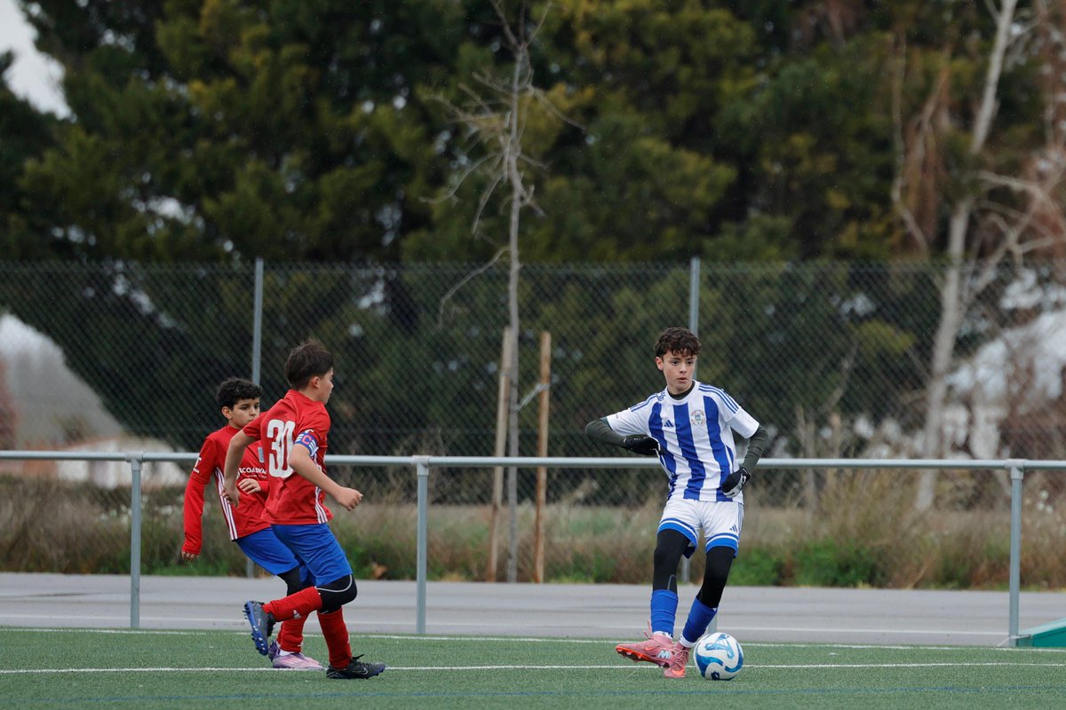 SD. Tarazona Cantera tweet media