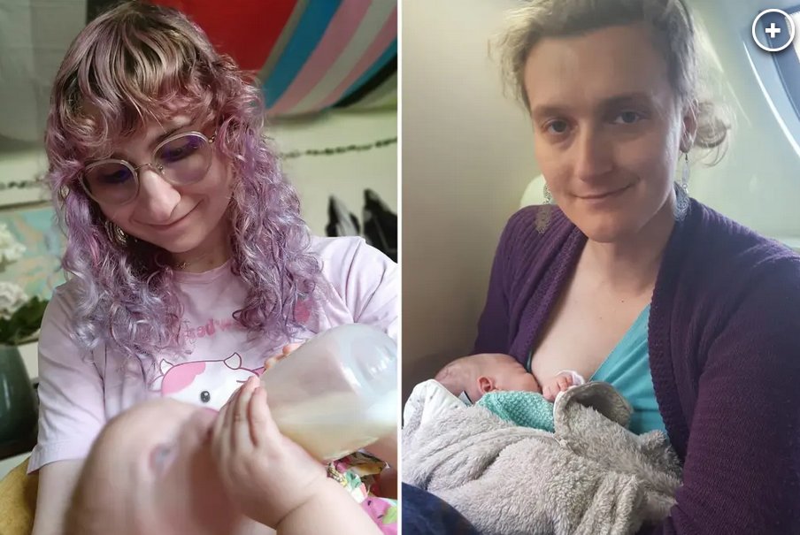 WDI Brasil tweet media