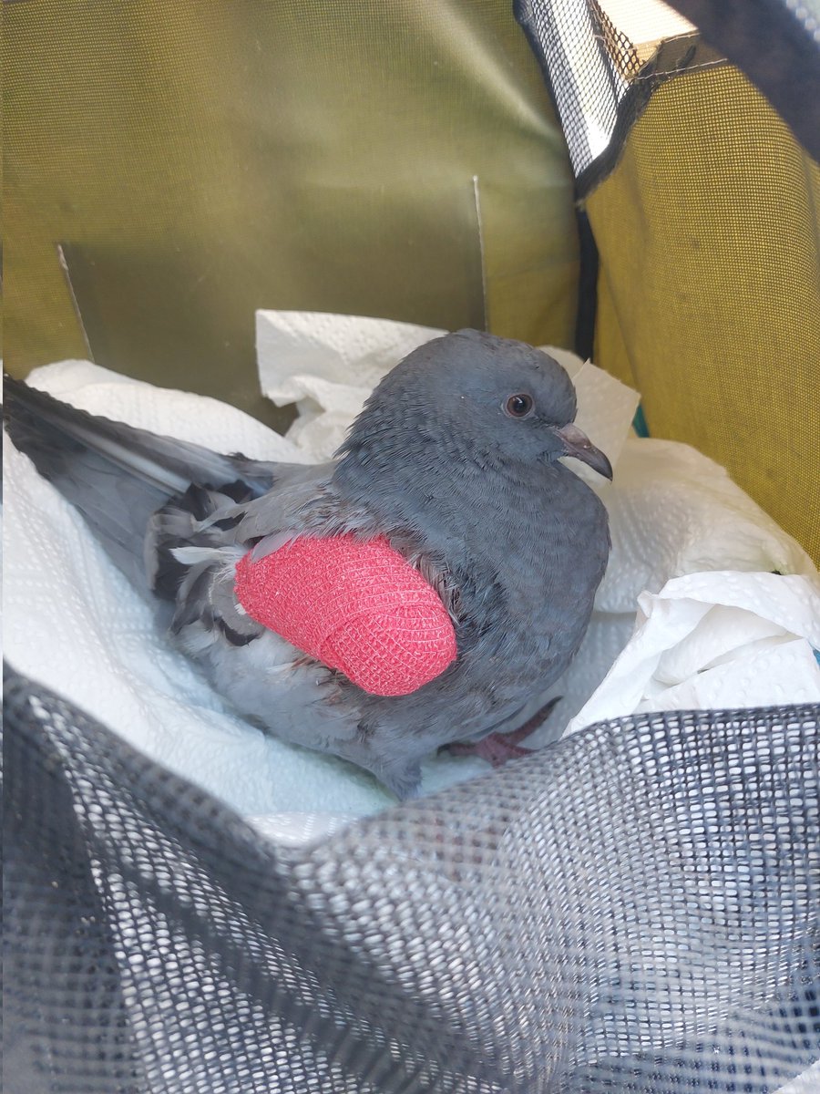 Frosty🎃 tweet media