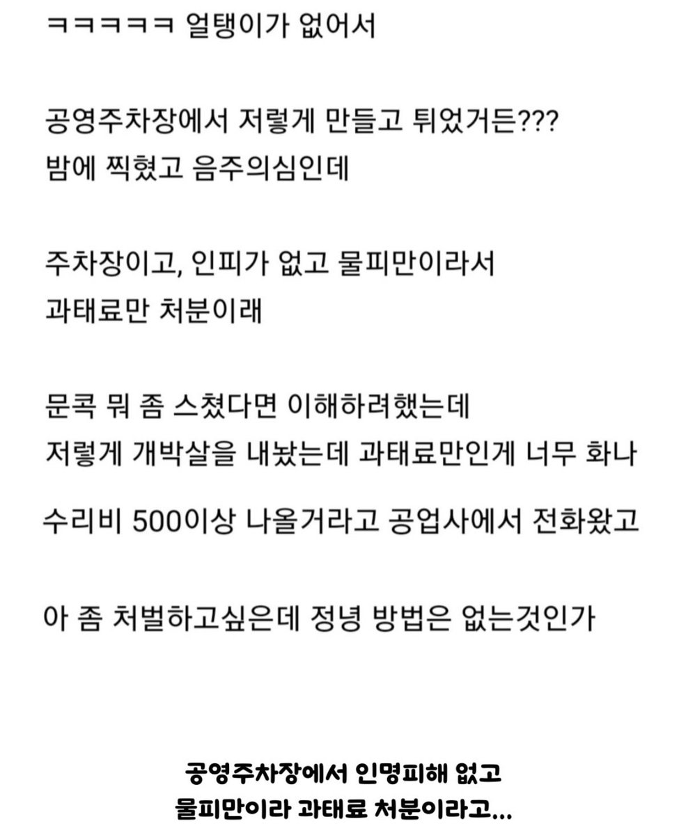 캣츠파파 tweet media