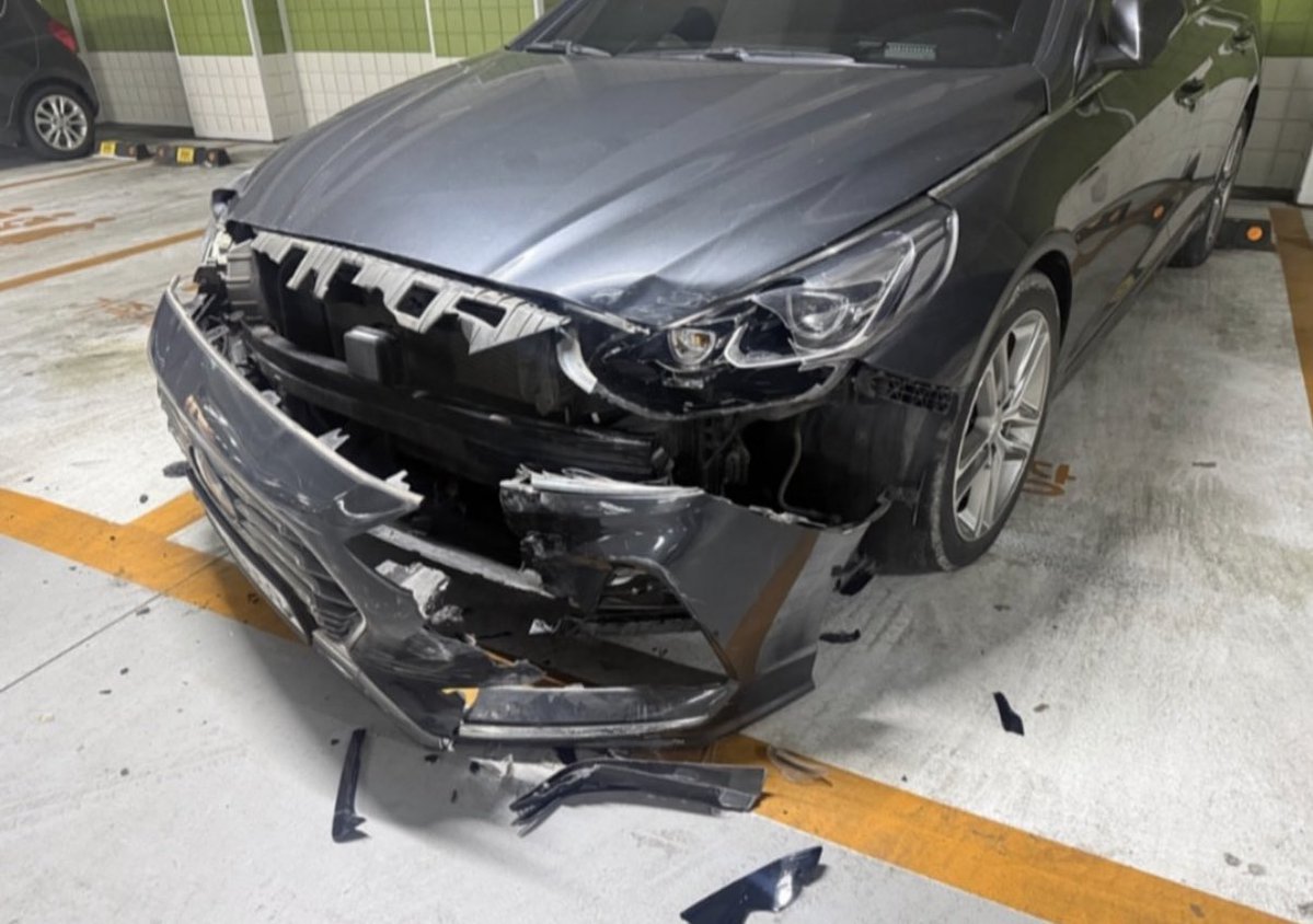 캣츠파파 tweet media