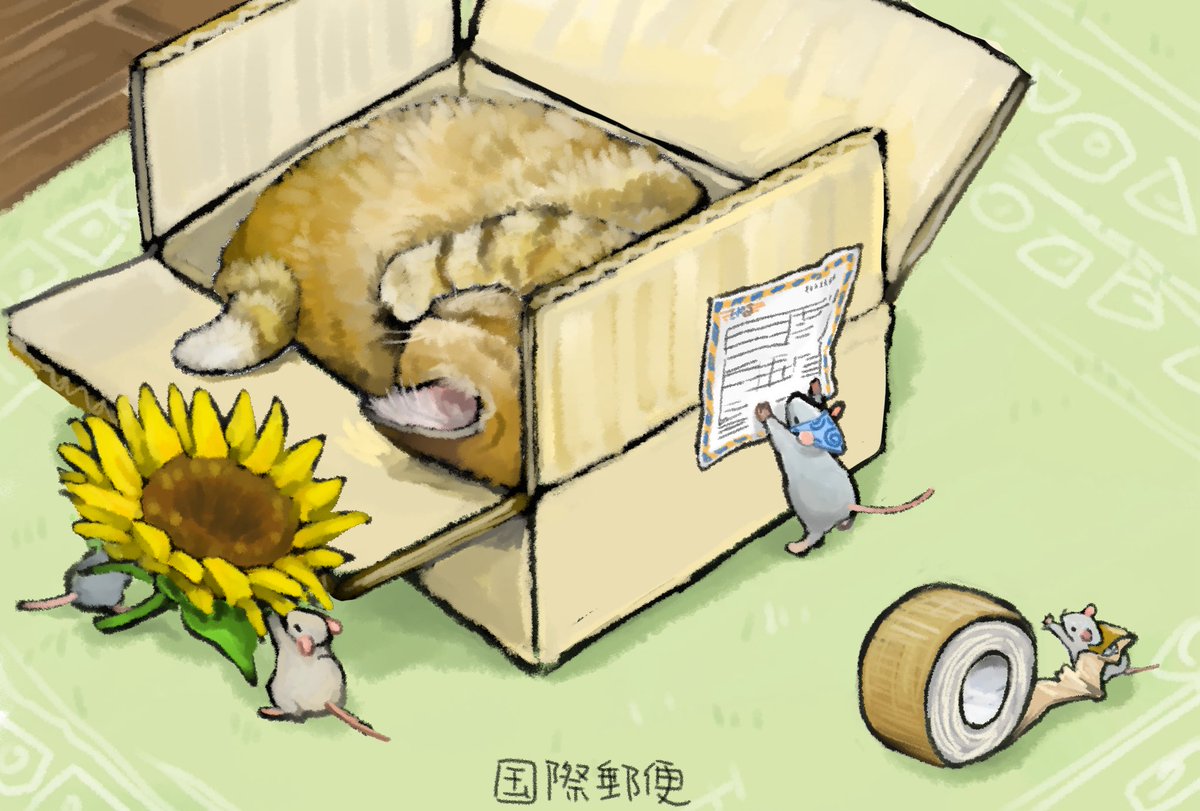 SunflowerMom(Chima)🧑🦰 tweet media