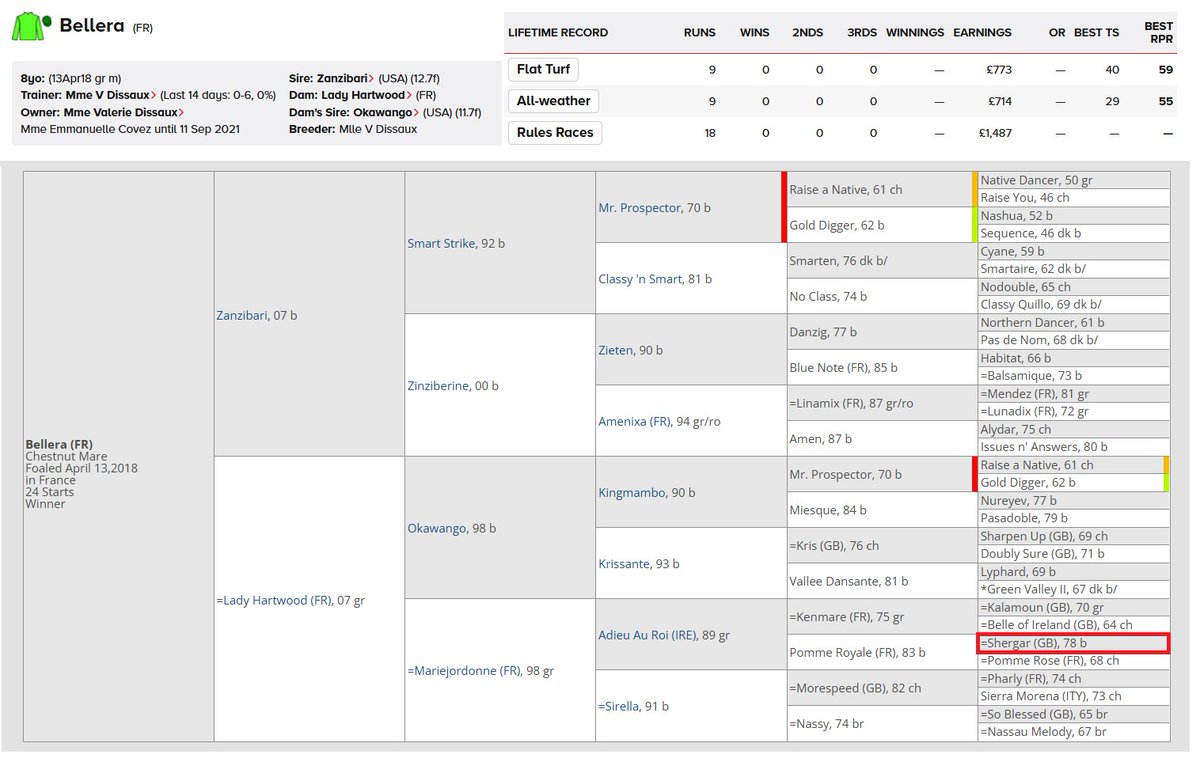 AIDANOBRIENFANSITE tweet media