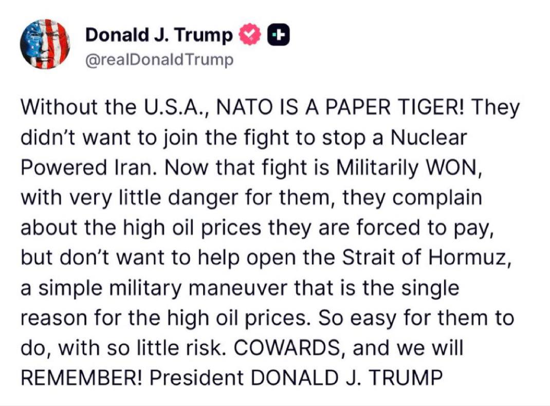 Visegrád 24 tweet media