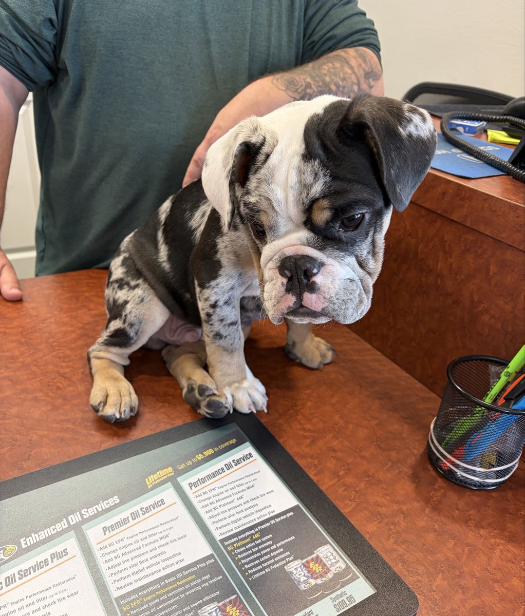 Benny Boy tweet media