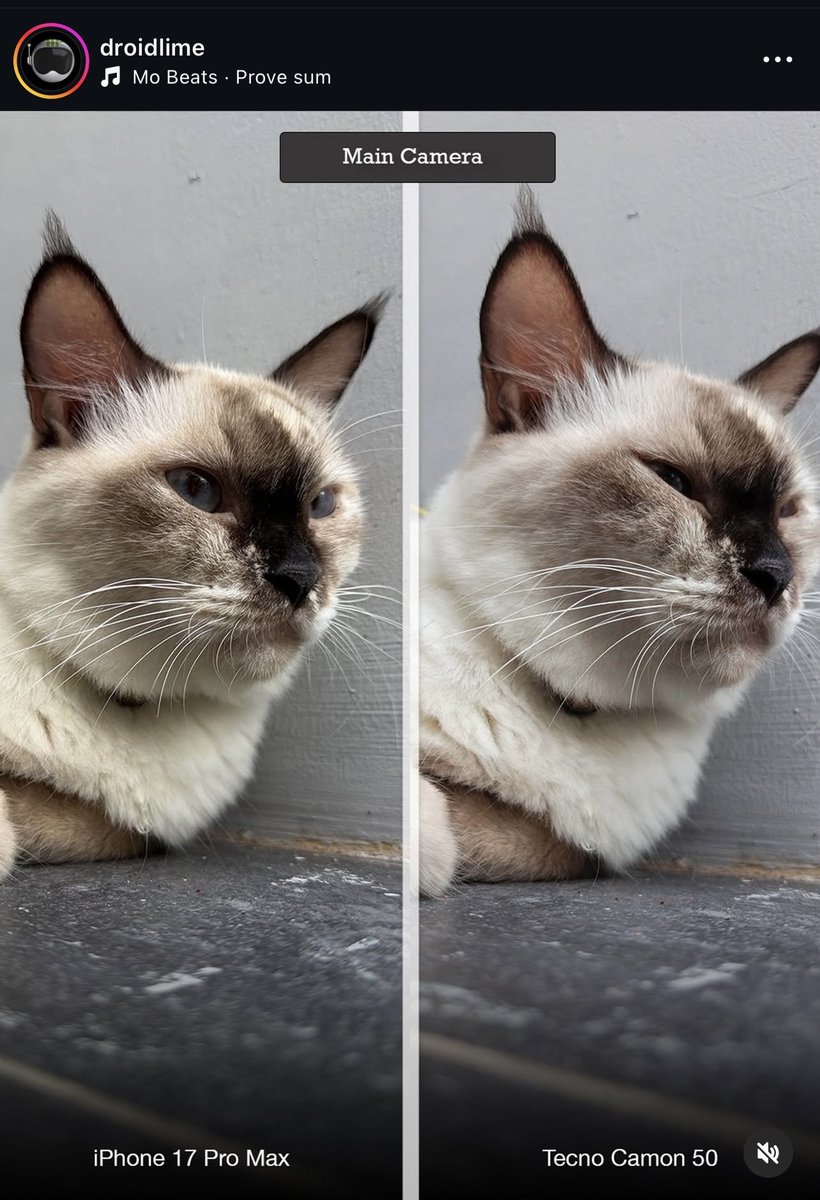 ØTöNGKØiL tweet media