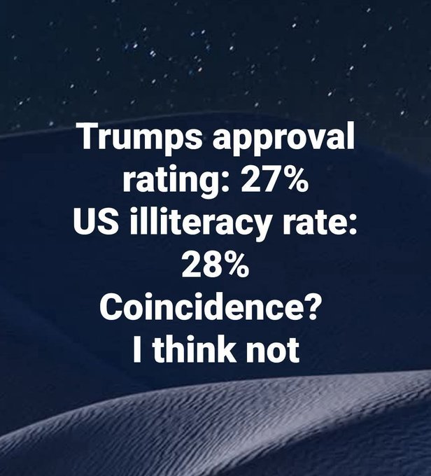 Summerwind 💙 tweet media