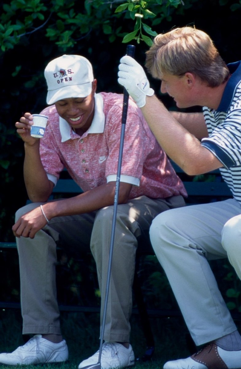 Seth Raynor II tweet media