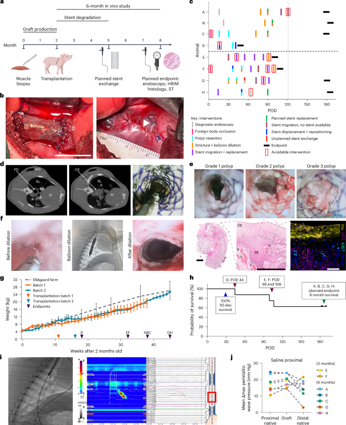 Waggoner Lab tweet media