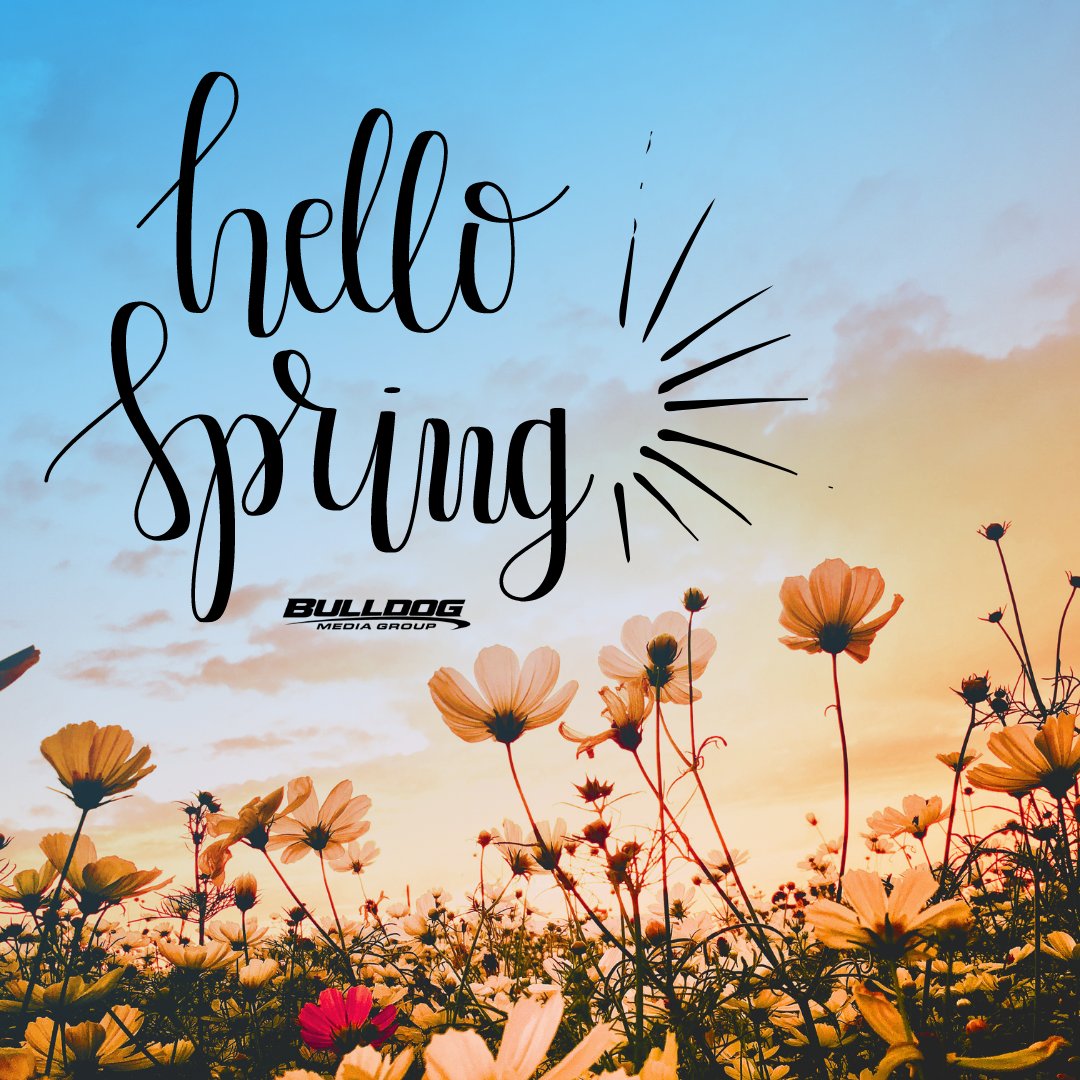 Bulldog Media Group tweet media