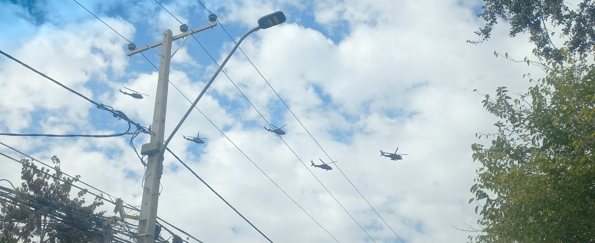 ༺𝕍𝕖𝕣𝕠༻ ex Indomita 💫✨️ 🇨🇱 tweet media