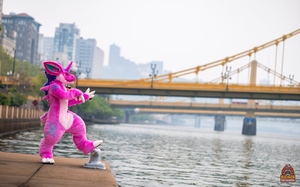 Rhubarb Nido tweet media