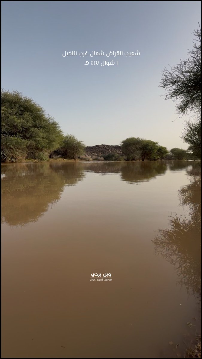 #وبل_بردي tweet media