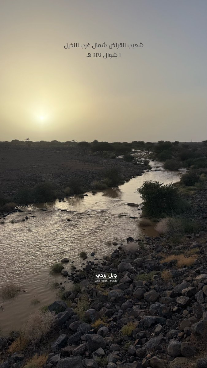 #وبل_بردي tweet media