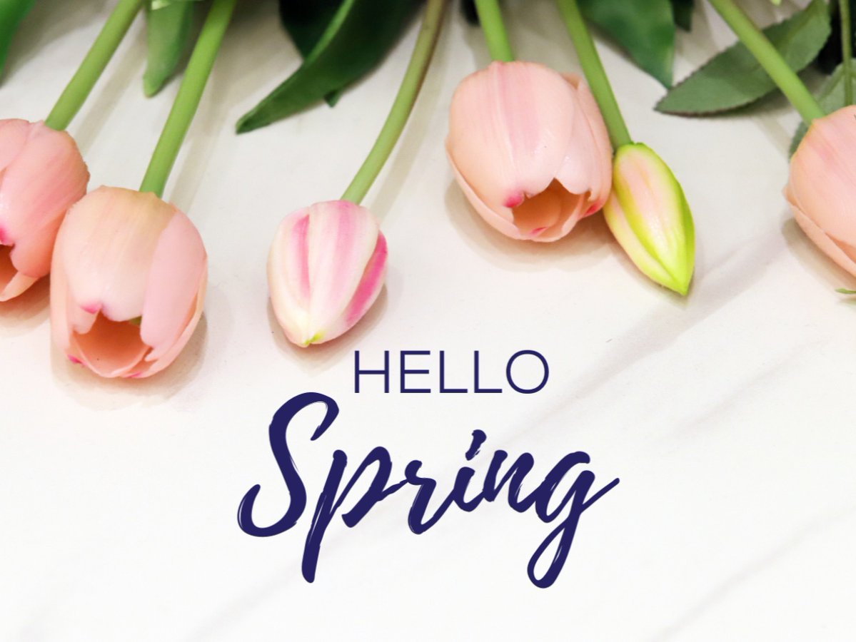 Ottawa Area ISD tweet media