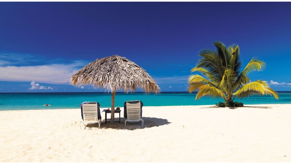 TaxiServiceSXM's tweet photo. You just landed, bags in hand &amp; all you want is a smooth ride. No confusion, no delays, but a reliable driver ready for you. That’s exactly what you get here. Travel stress-free from the moment you arrive at SXM.
Book 
https://t.co/NlClnOXQbL

#TaxiServiceSXM #CarService #taxi https://t.co/sVHhC0fdqX