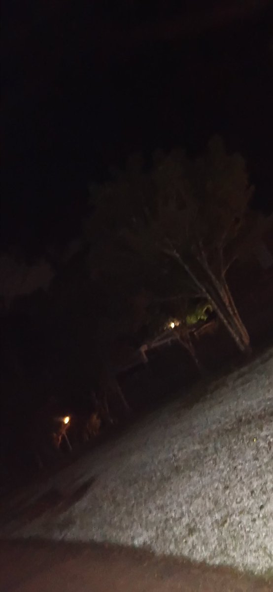 Roo. 🇦🇺 tweet media