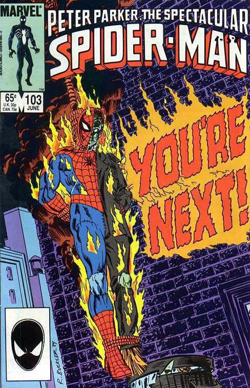 THE SPINNER RACK tweet media