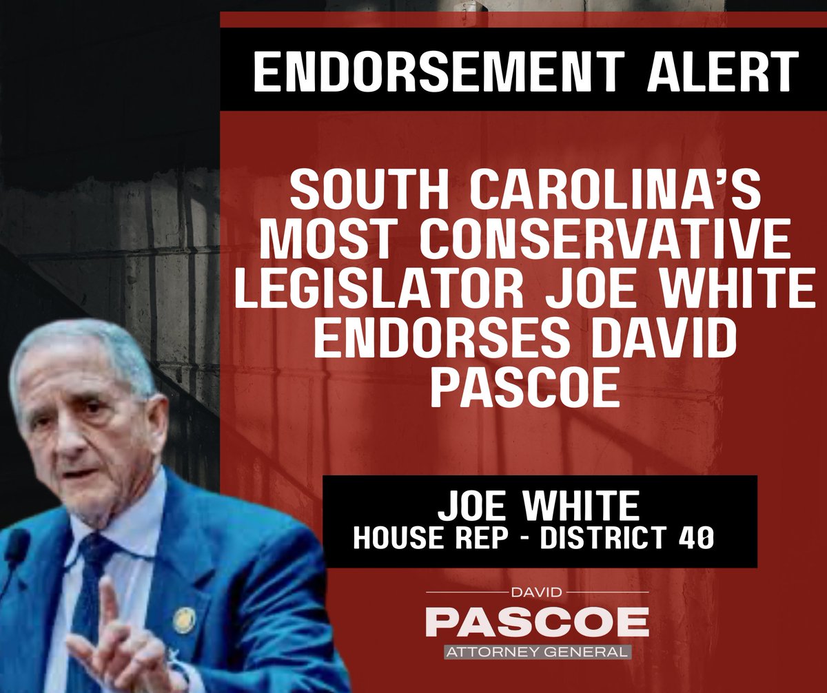 David Pascoe tweet media