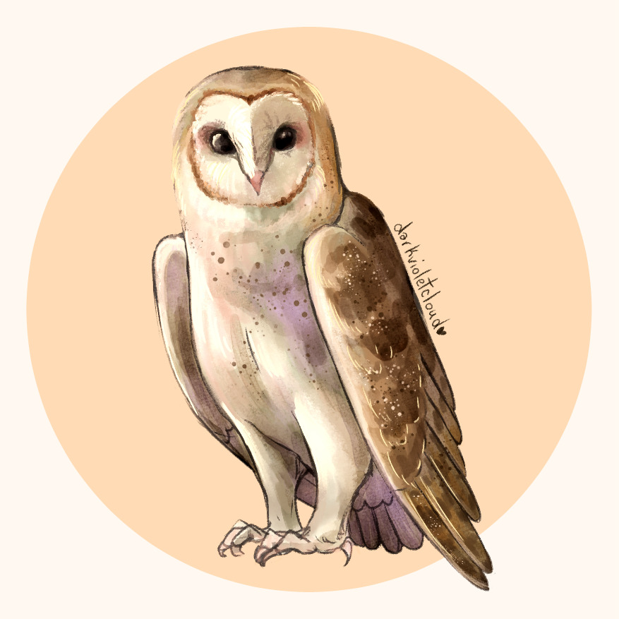 🦋 vi | dvc 💜 tweet media