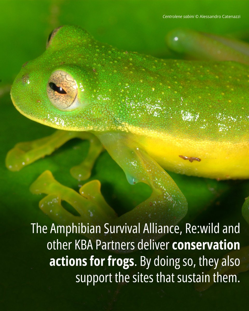 Key Biodiversity Areas tweet media