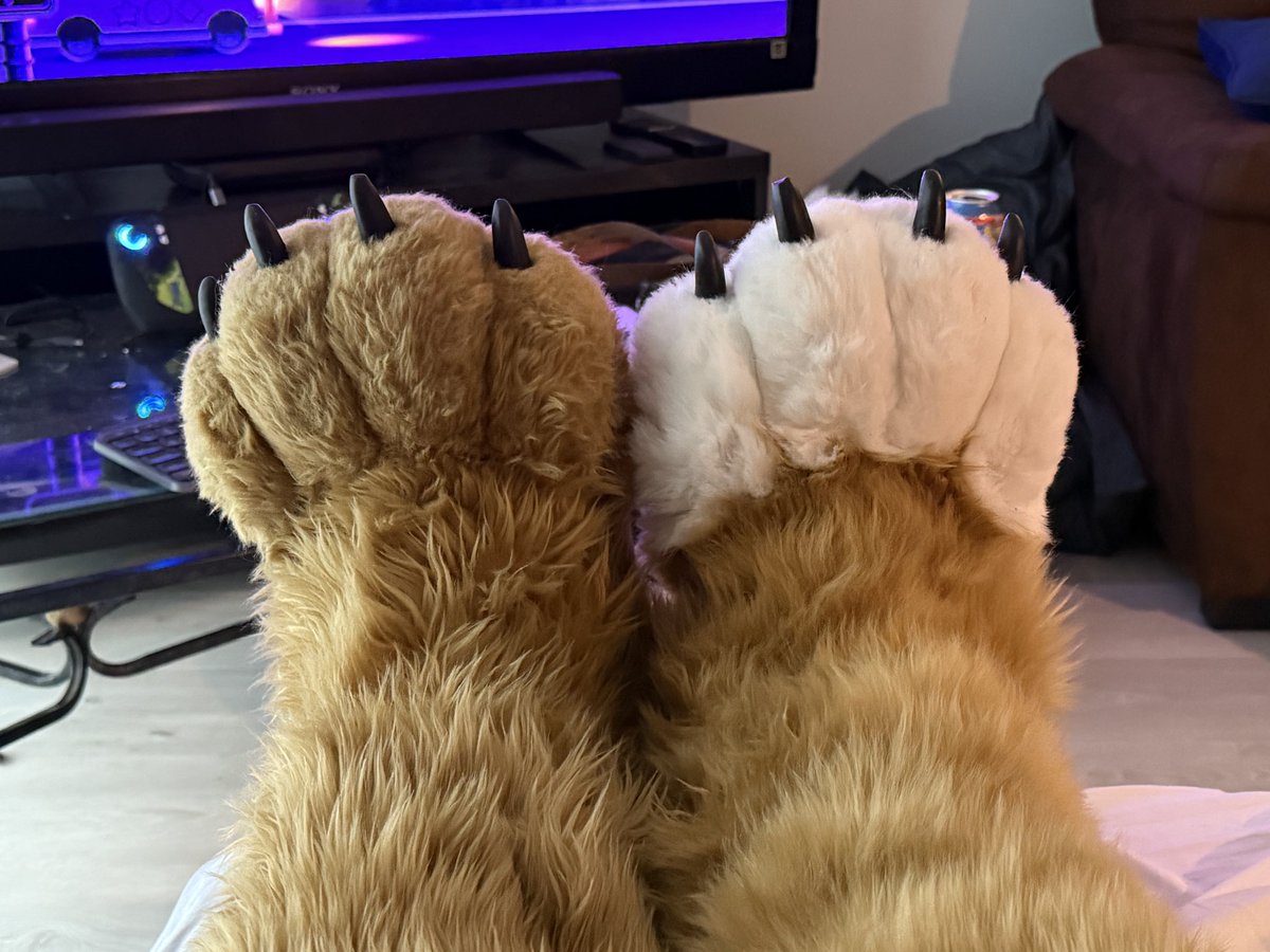 Kuma / Kawi / Ranger 🇨🇦🐶 tweet media