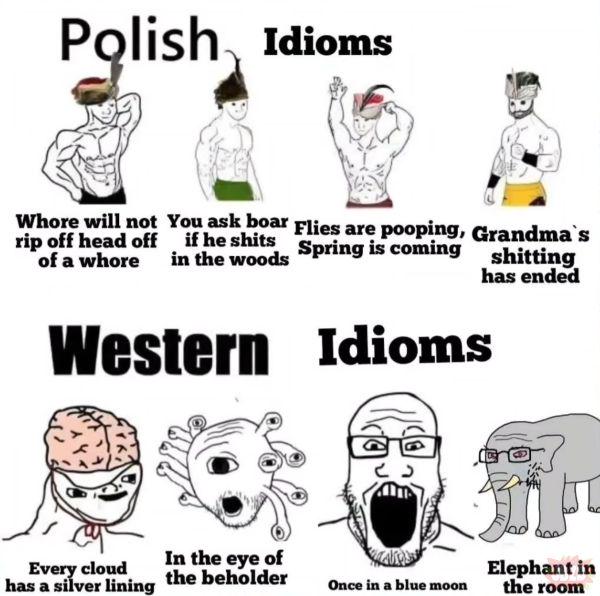 Based Poland 🇵🇱 tweet media