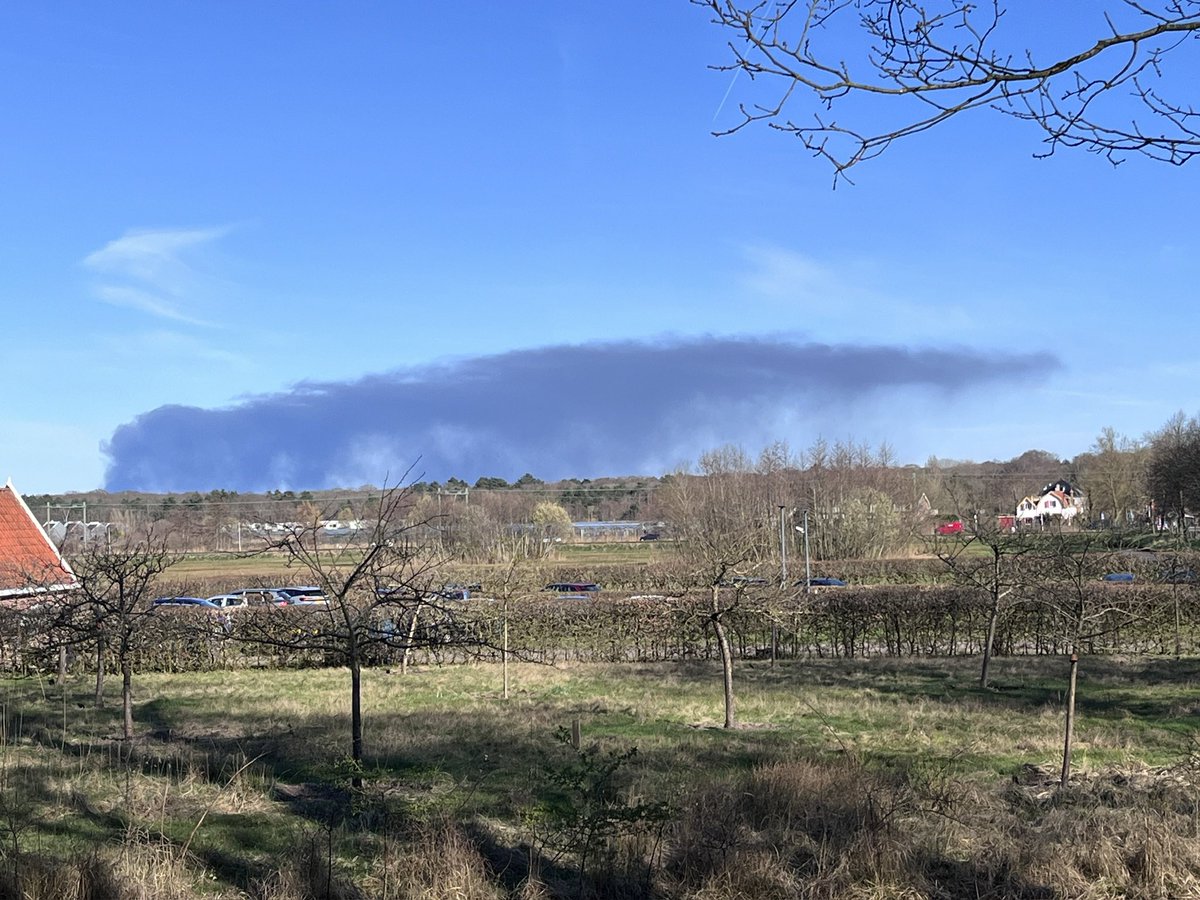 Ad van der Zee 📖 tweet media