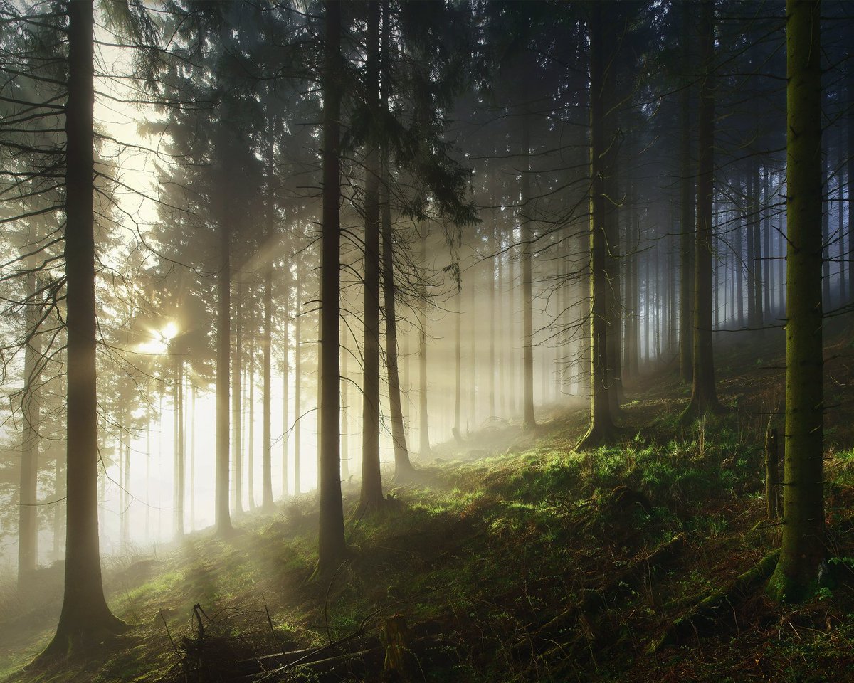 Kilian Schönberger tweet media