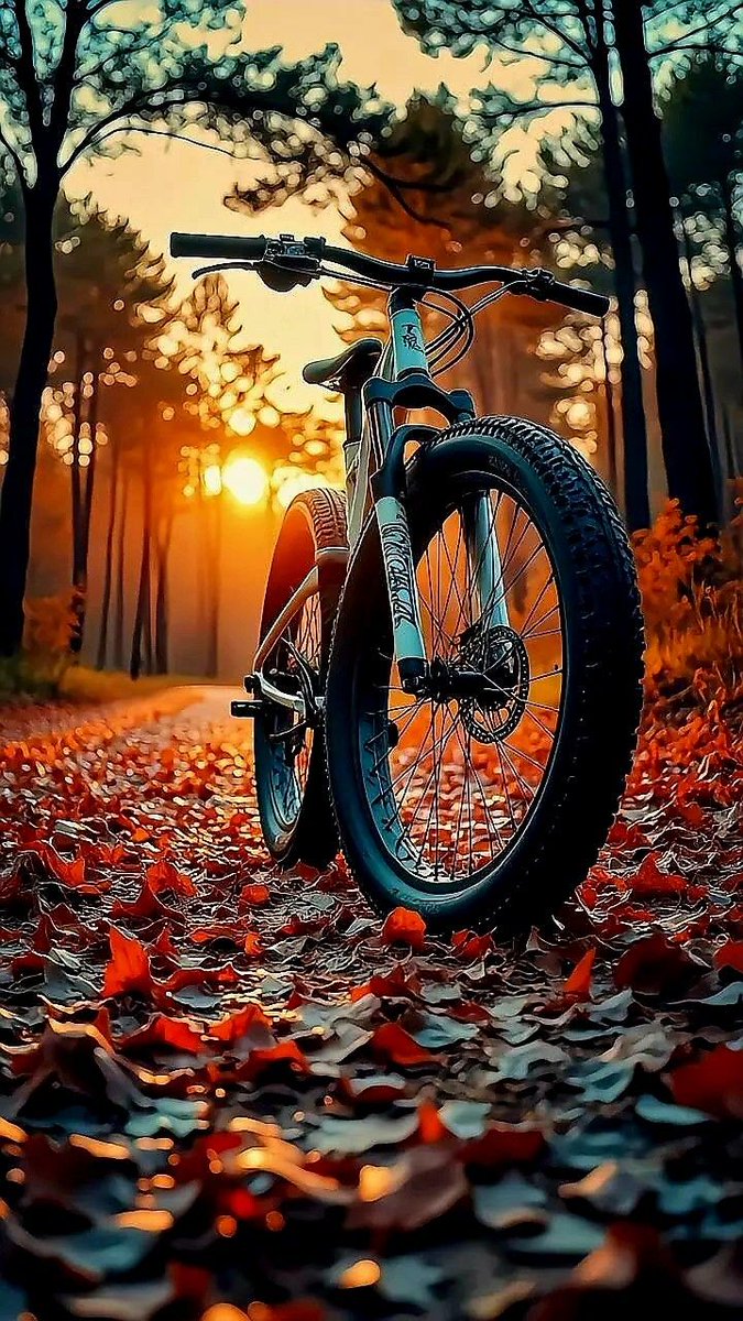 ○𝗙𝗙𝗜𝗖𝗜𝝙𝗟𝗧○𝗠𝗠𝗦𝗞𝝙𝗥𝗦𝗚𝝙𝗥𝗗 ☪ tweet media