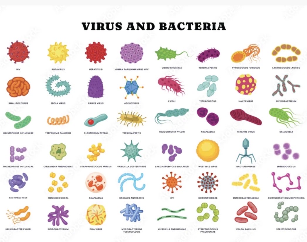 Jaime FNP tweet media