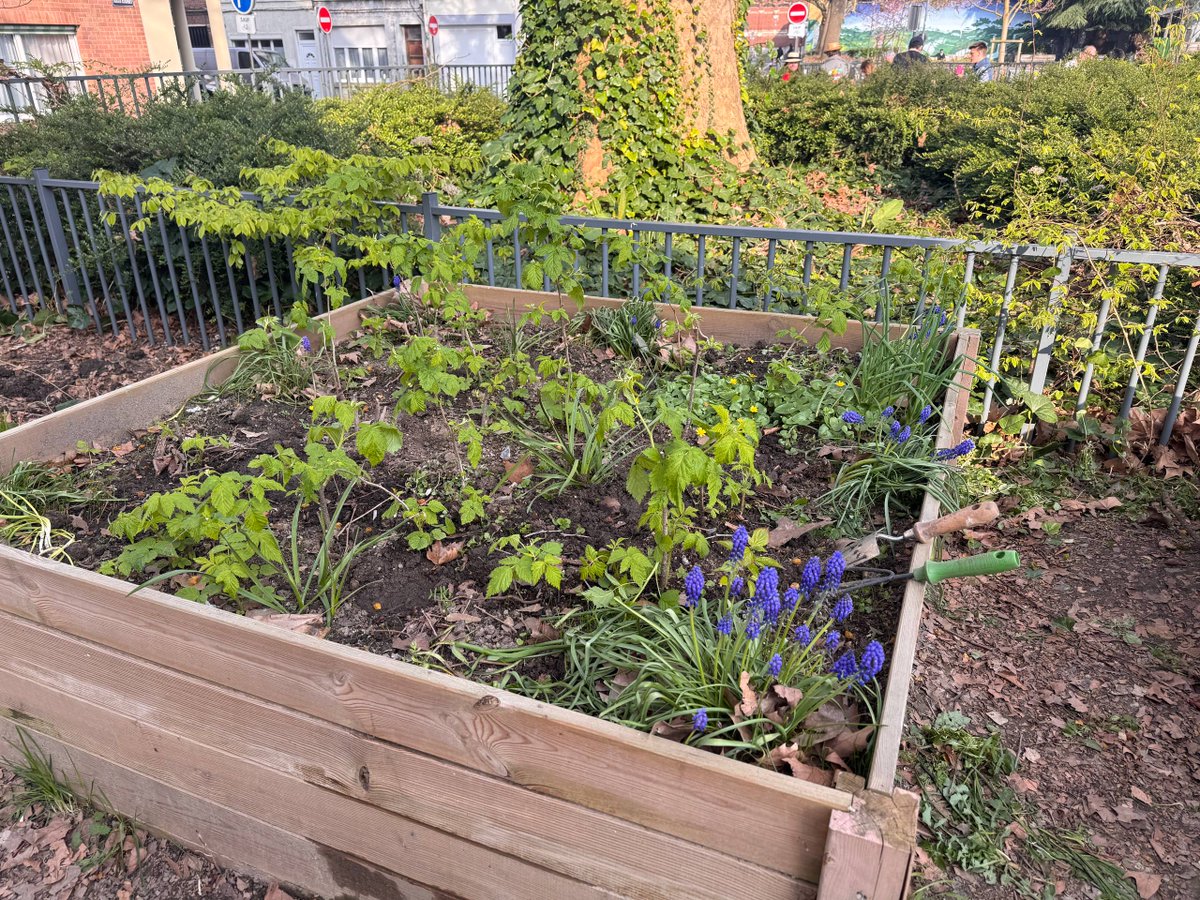 Violette Spillebout tweet media