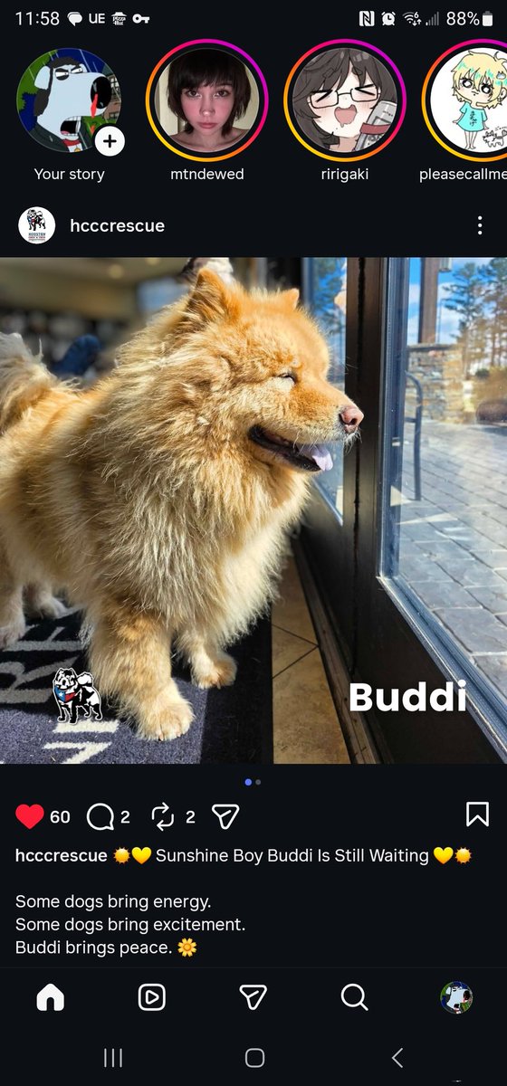 Todd Screecher tweet media