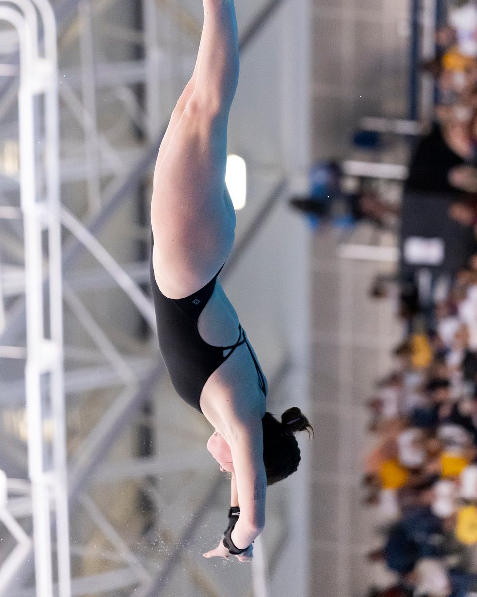 Utah Swim & Dive tweet media