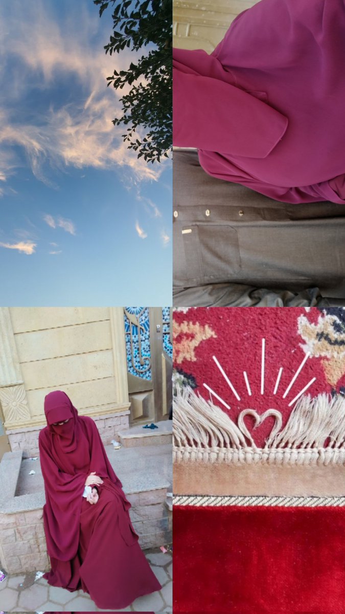 هــالـۃ tweet media