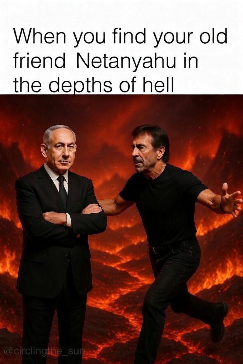 Catcat Autocrat tweet media