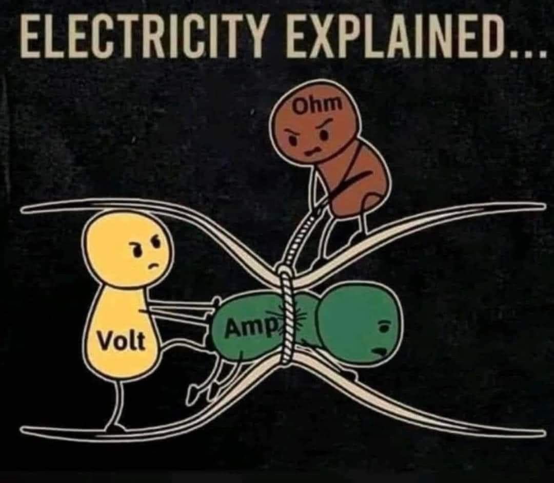 Science Is Fun tweet media