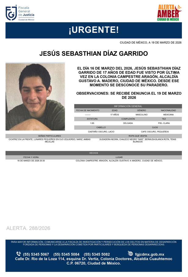 Alerta Amber CDMX tweet media