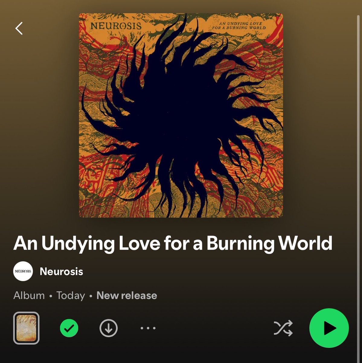 бабка, вставай tweet media