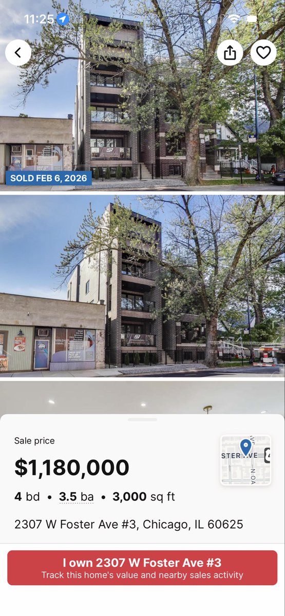 Alicia, Courtyard Urbanist tweet media