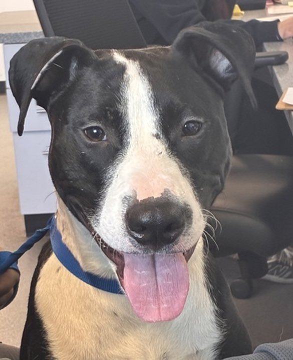 Soft Side tweet media