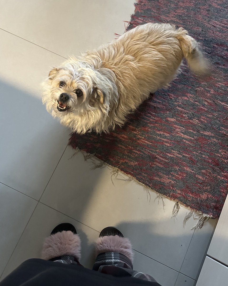 michelly tweet media