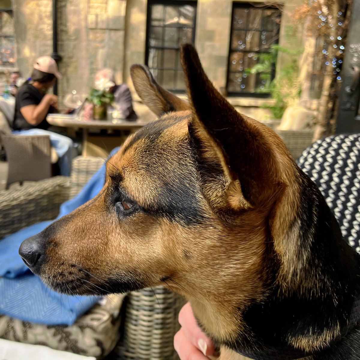 That Flo Woman tweet media