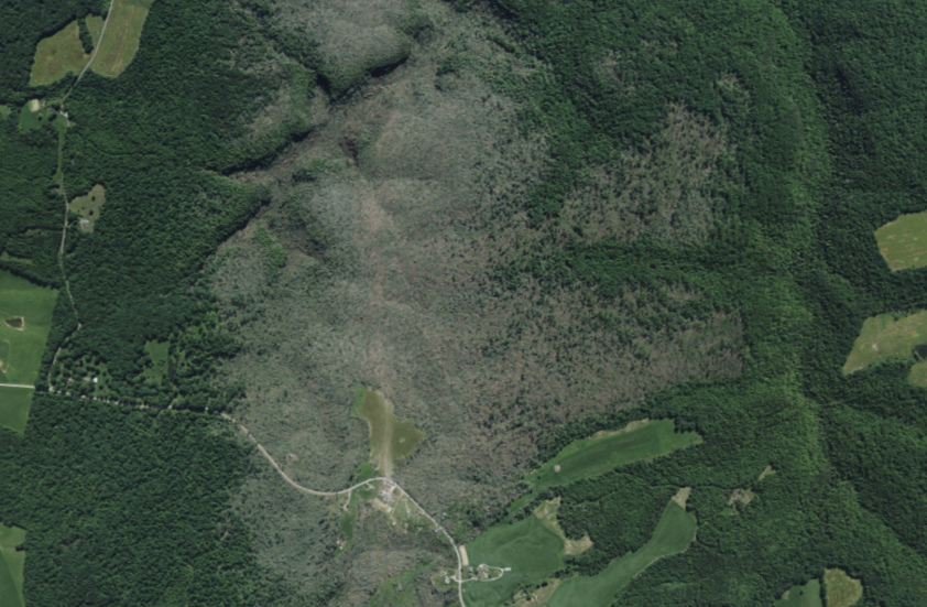 SRRadarLoops tweet media