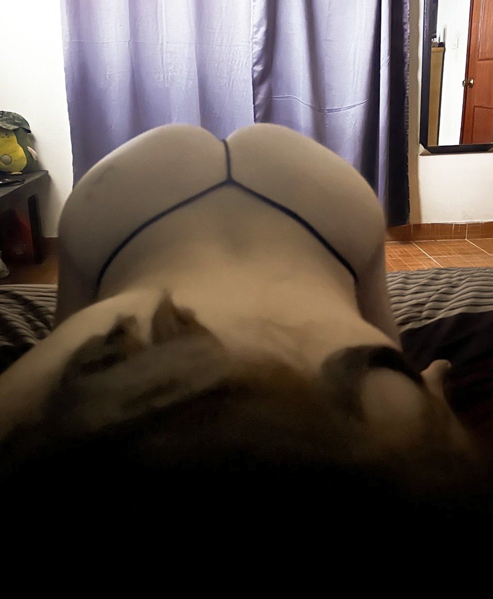 Pixelado 🤘🏾 tweet media