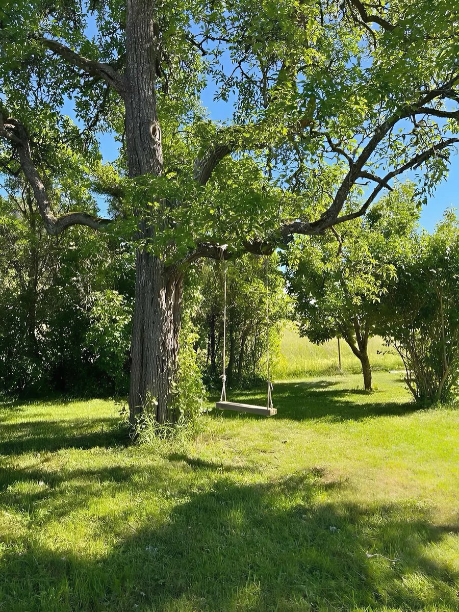 이지수 tweet media